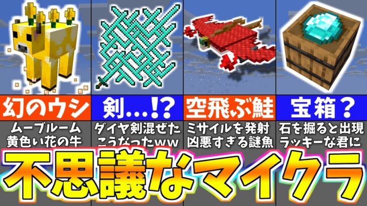 【マイクラ1.19】謎が多すぎるマインクラフト７選【まいくら・マインクラフト】