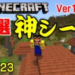 【マイクラ1.19神シード】村の屋根の上にスポーン。周りにも色々あって神。初心者も楽しく遊べるシードNo.023 【統合版1.19.40】