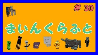 【マイクラ】スイッチ版　要塞探し#30