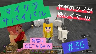 [マイクラ] 新 マイクラ生活。＃36    ヤギの角笛を求めて…