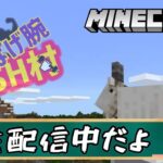 【マイクラ】#6 始まりの村　門を作りたい #雑談