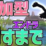 【参加型】エンドラ倒すまで終わらない配信【マイクラ/Minecraft】