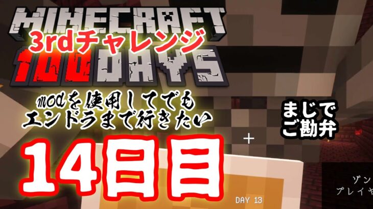 【Minecraft】【3rdチャレンジ】modを1つだけ使ってハードコアモードでエンドラ討伐14日目【100days】【#shorts】