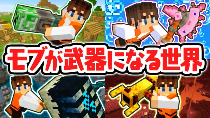 強すぎるモブの武器を使いこなせ!!ふしぎな世界でサバイバル!!マイクラMod実況【マインクラフト】