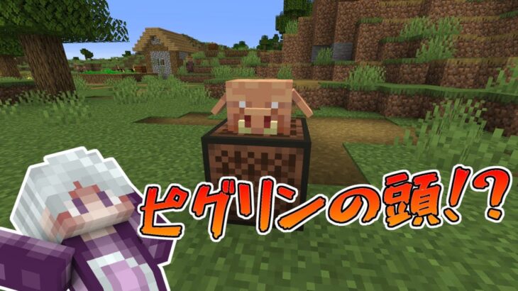 【マイクラ情報】Ver1.20 ピグリンの頭が追加!? 今後のアップデート情報【Java&BE MINECRAFT SNAPSHOT/PREVIEW】