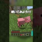 レシピがランダムになってる世界【まいくら・マインクラフト】 #shorts