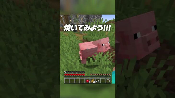 レシピがランダムになってる世界【まいくら・マインクラフト】 #shorts