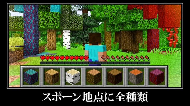 マインクラフト超激レアなシード値５選