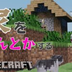 【マイクラ】竪穴式住居からの脱却【健屋花那/にじさんじ】