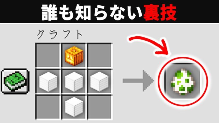 【海外検証】謎が多すぎるマインクラフト【ゆっくり実況】【マイクラ】