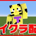 【マイクラ】あの集団に呼び出されました…