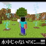 【衝撃】マイクラ統合版の隠されたバグ裏技＆小ネタ１１選