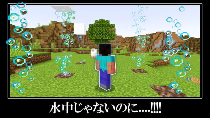 【衝撃】マイクラ統合版の隠されたバグ裏技＆小ネタ１１選