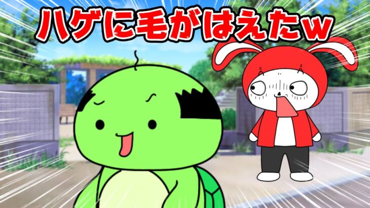 【コント】ハゲのカメに毛がはえたｗｗ（マイッキー声真似・コント・アニメ）