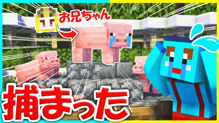 動物園に捕まったお兄ちゃんを助け出せｗｗ【まいくら/マインクラフト】