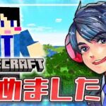 【マイクラ】初心者がエンドラ討伐目指してみた