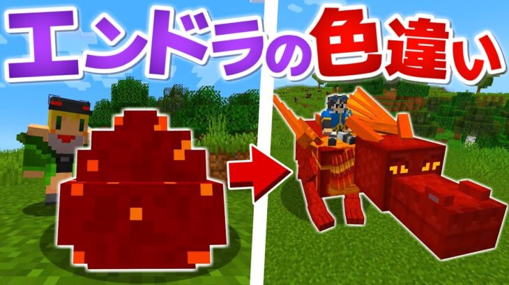 【マインクラフト】エンダードラゴンの色違いを孵化させる方法【ゆっくり実況】