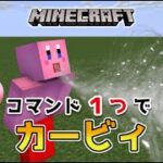 【マイクラスイッチ版】コマンド１つでカービィ【マインクラフト/統合版】