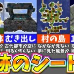 【マイクラ1.19】厳選！激レアシード値８選【統合版・Java版】【まいくら・マインクラフト】