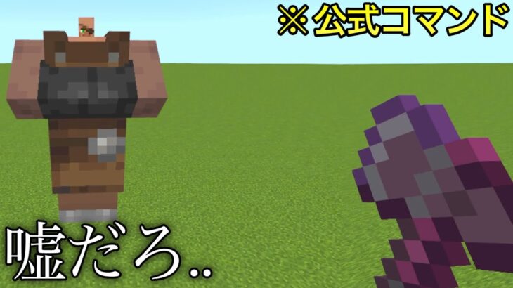 【マイクラ】統合版限定のコマンドヤバすぎだろ…　～8分でわかるBE版限定の特殊コマンド5選～【マインクラフト1.19】【コマンド】【村人モンブラン】【小ネタ】【衝撃】