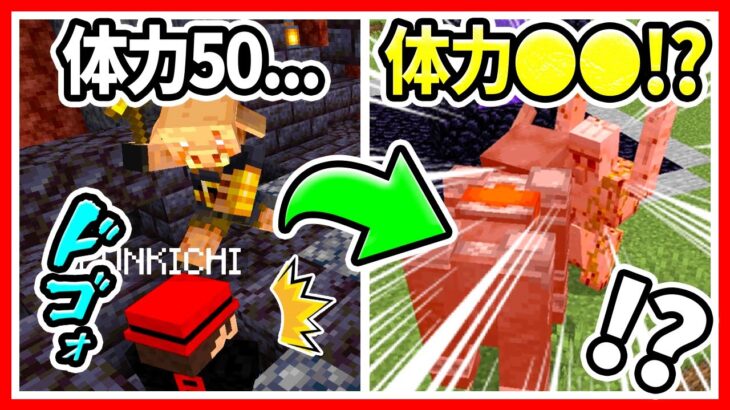 【マイクラ】】最強すぎるモブの体力ランキング！クリーパーよりカメやシロクマの方が高い？アイアンゴーレムのHPやウィザーとウォーデンどっちが多いかも検証！【マインクラフト/Minecraft/まいくら】