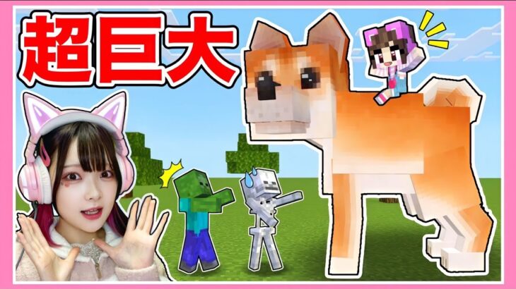 巨大なペットを育てられる世界で生活した結果…🐶⁉️【マイクラ / マインクラフト / Minecraft】【たまちゃん】