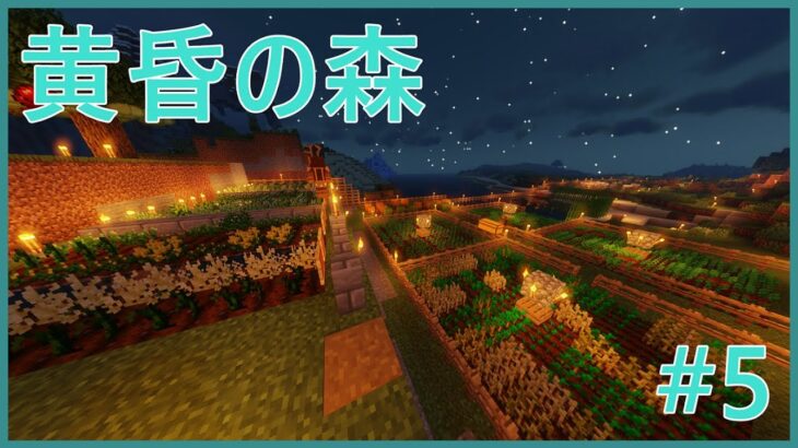 【Minecraft/マインクラフト】黄昏の森　#5　影mod入れました