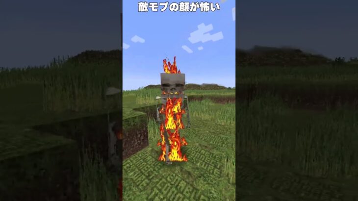 【Minecraft】リアルすぎるマイクラを替え歌で紹介！#shorts  【マイクラ】【mod】【豆知識】