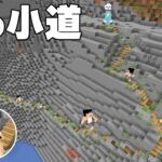 危険なガケに長〜い階段つくってみた！PART347【マイクラ】