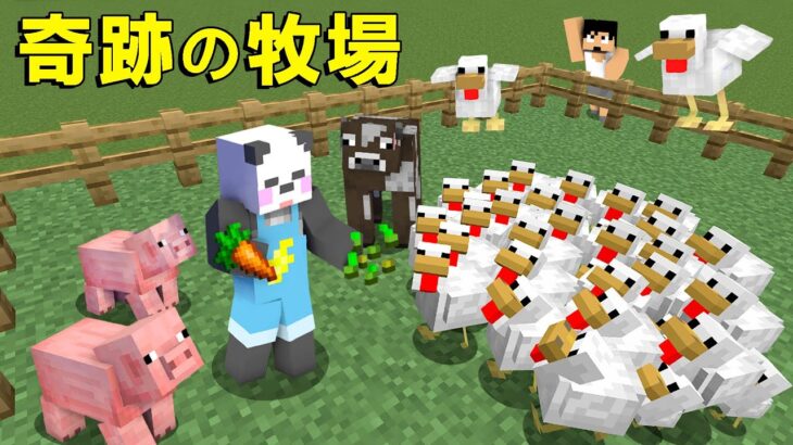 荒らしを乗り越えた友と楽園を作りました。PART361【マイクラ】