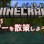 【マイクラ】(PC統合版)おじさんが始めるMINECRAFT　Part15 ネザーを散策