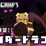 【マインクラフト】エンドラ討伐の勉強 #minecraft