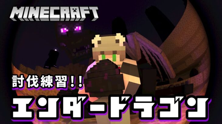 【マインクラフト】エンドラ討伐の勉強 #minecraft