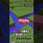 【マインクラフト】海外でバズった謎が多すぎるマイクラが面白すぎるpart38