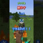 【マイクラ】魔法戦士はらしろん　その１　#shorts