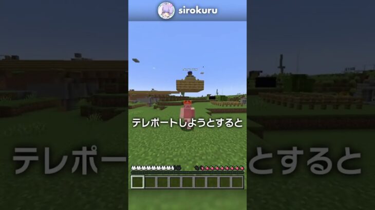 道具なしで岩盤を貫通する裏技？！【マイクラ豆知識 解説 裏技】