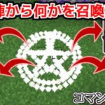 【マイクラコマンド紹介】魔法陣からなにかを召喚できるコマンドが面白すぎる