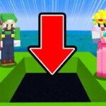 スーパーマリオの世界でマインクラフト【茶番】【マイクラ】