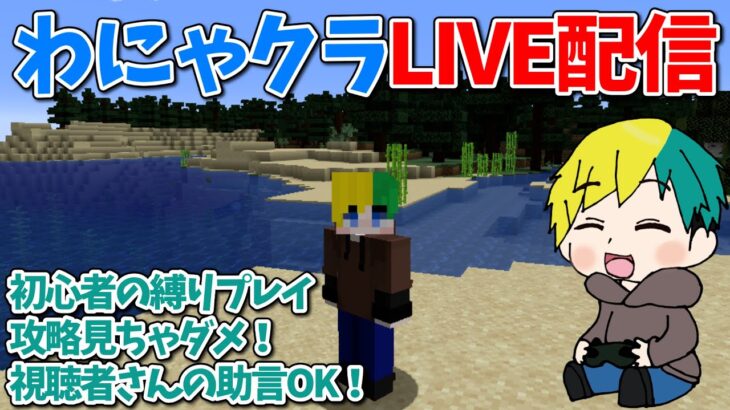 最近マイクラにハマってるようです