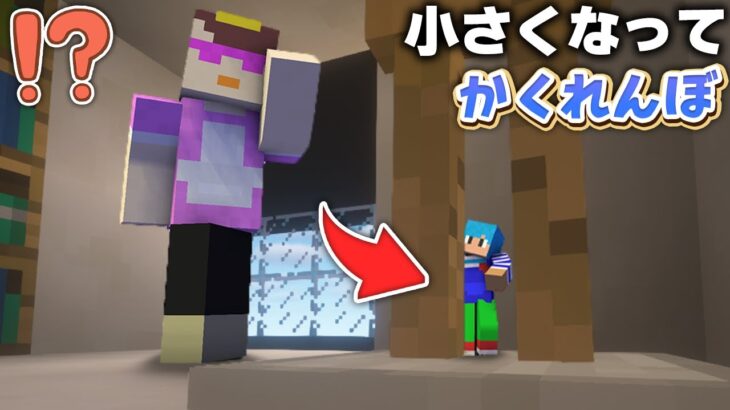 限界まで小さくなってかくれんぼしてみたドッキリｗｗ【マイクラ / まいくら / マインクラフト】