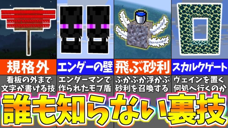 【海外検証】謎が多すぎるマインクラフト１０選【まいくら・マインクラフト】