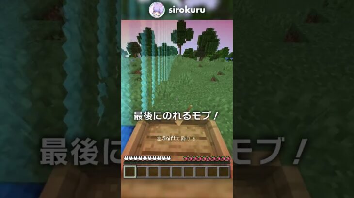 マイクラ世界の外側に行ける裏技？！【マイクラ豆知識 解説 裏技】