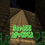 マイクラのプロを天空から落としてみた【マイクラ・マインクラフト】