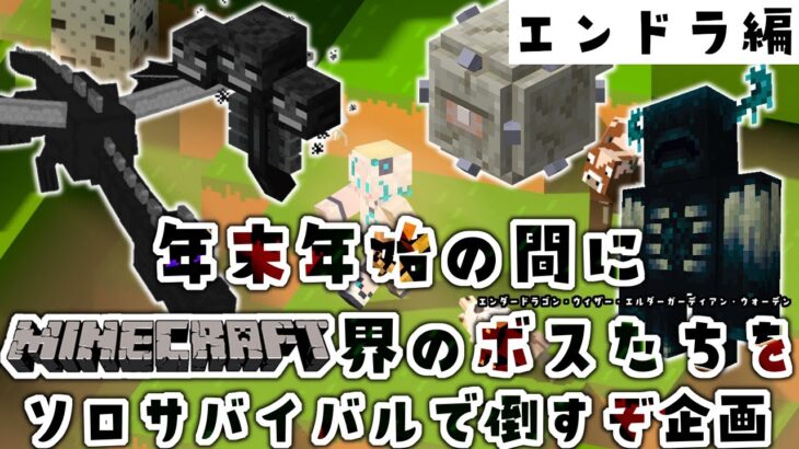 【年末年始マイクラ企画 #２】続、打倒！エンダードラゴン！【羽渦ミウネル】