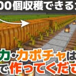 【マイクラ実況】スイカ・カボチャは○○対策で地下に作ります！？1200個作れる巨大農場ができました！【マイクラ統合版1.19.51】【マイクラうっかり実況3Part35】