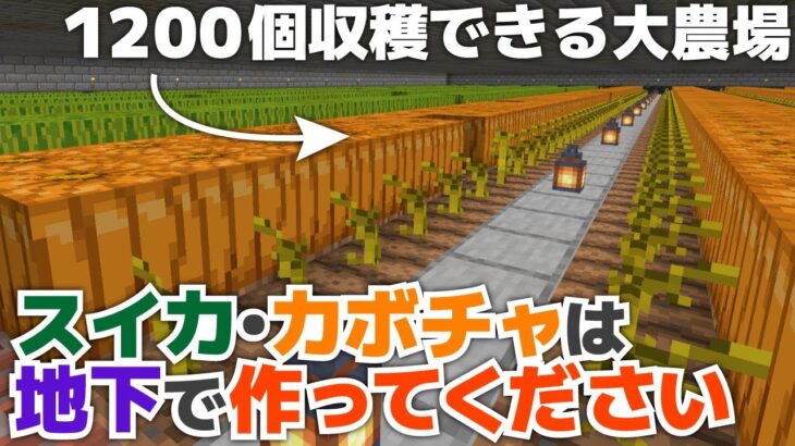 【マイクラ実況】スイカ・カボチャは○○対策で地下に作ります！？1200個作れる巨大農場ができました！【マイクラ統合版1.19.51】【マイクラうっかり実況3Part35】