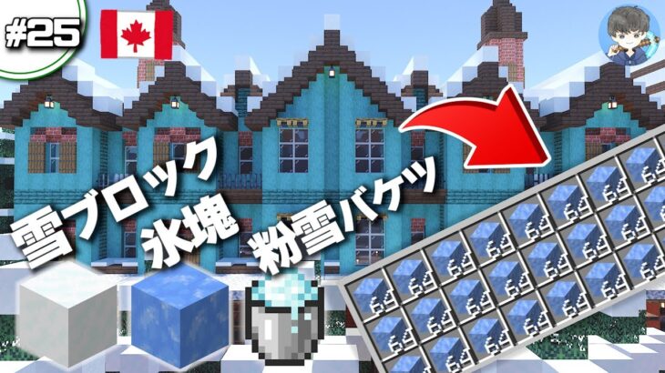 【マインクラフト】大量！雪原バイオームで入手できるブロック３選＆製造方法 #25【統合版(BE)】