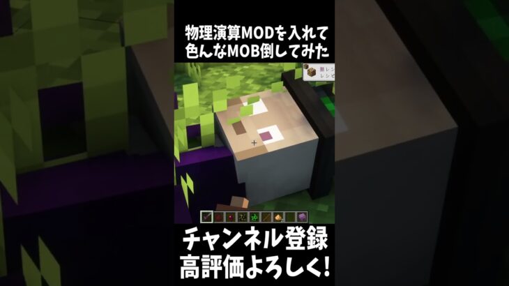 物理演算MODで色んなMOBを倒してみた!!#Shorts 【Minecraft】