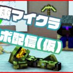 【マイクラ】健康的なメンバーでマイクラ配信！(仮)【MSSP視点】