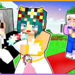 大事なトモダチが別の女の子と結婚してしまうマインクラフト！ライ子とぱちしゅうが一緒になった！？【 マイクラ / まいくら / Minecraft 】